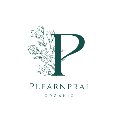 โลโก้ เพลินไพร